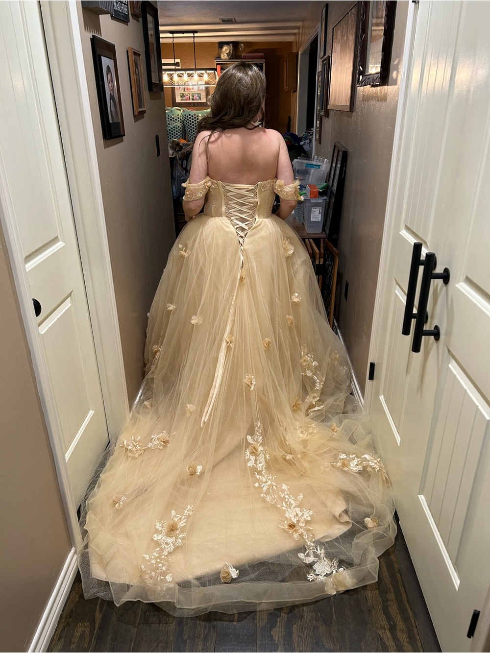 Champagne Tulle Ball Gown with Floral Appliqués - Picture 3 of 11